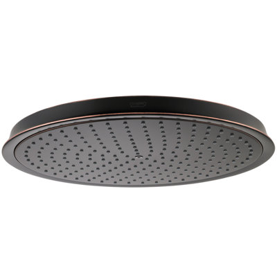 Raindance Rain Shower Head
