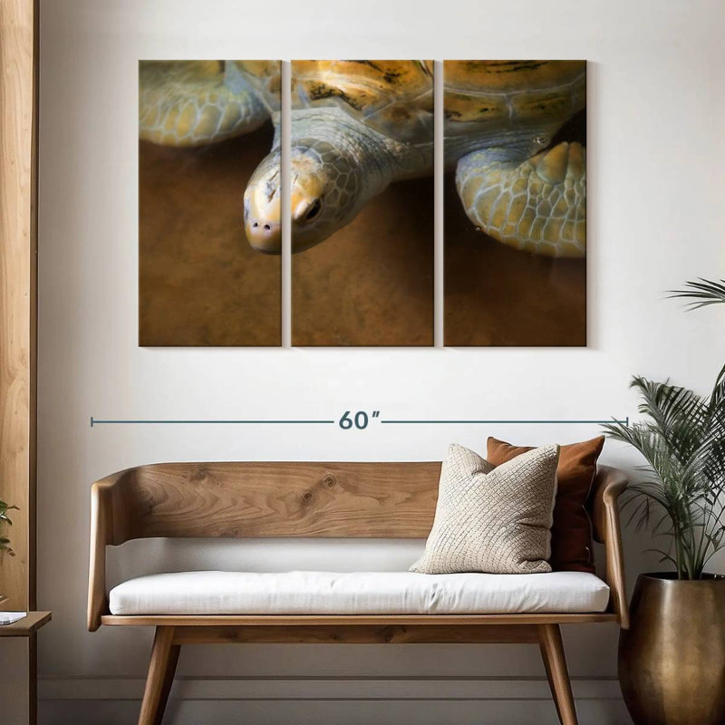 Brampt Stunning Turtle, 32" H x 50" W