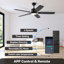 Ventilateurs de plafond avec lumières, ventilateur de plafond intelligent avec application et télécommande-336933716-350794966