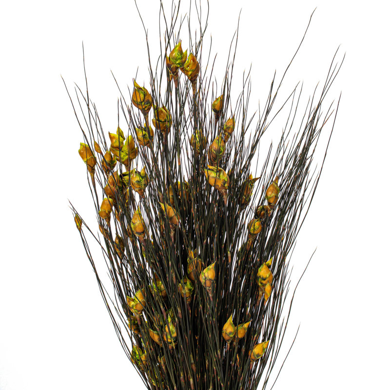 Preserved Bell Grass Arrangement