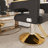 Professional Hydraulic Barber Chair - 360° Swivel With Adjustable Height, Reclining Backrest & Stainless Steel Armrests For Salon & Barber Shop (black + Gold)