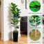 Figuier figuier artificiel 5/6 pi avec pot de fleurs, faux ficus avec tronc de bois pour la maison et le bureau-676304648-676304662