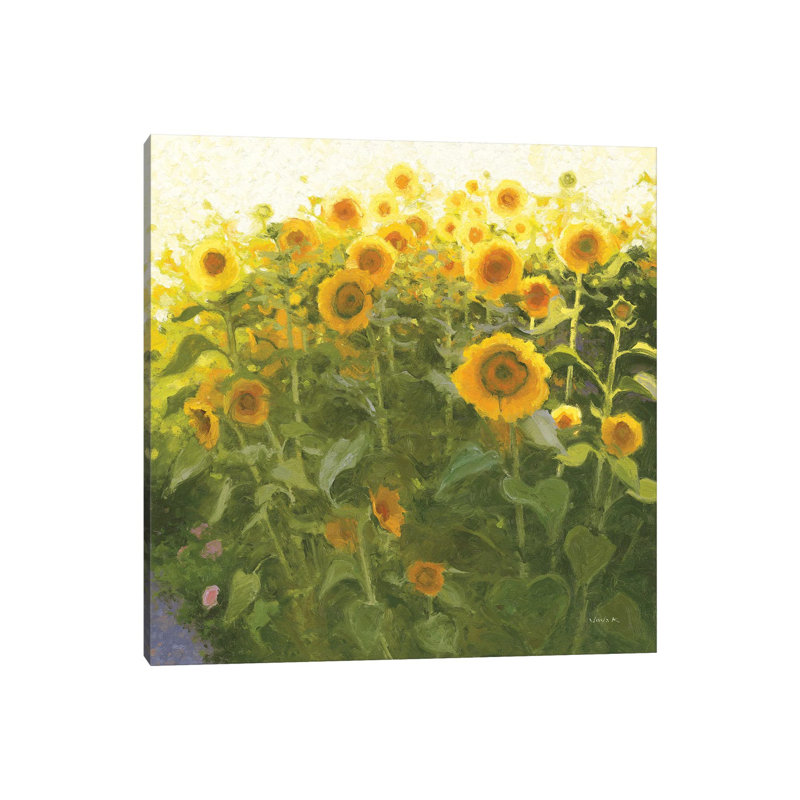 Sunflower Field 1 Piece Wrapped Canvas Painting, 93.98 cm H x 93.98 cm W
