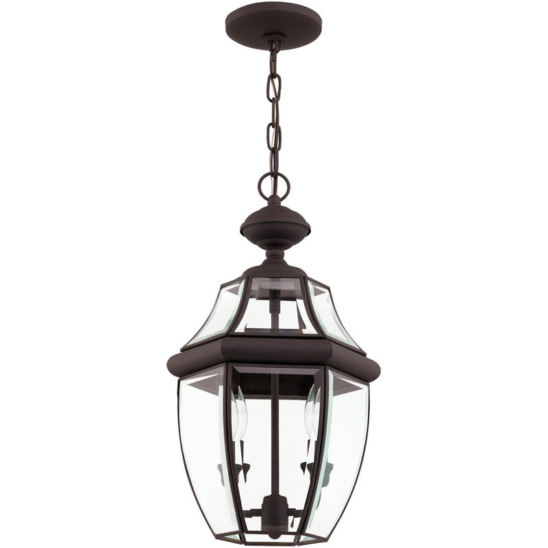 Outdoor Pendant Lighting Fixture with Clear Glass Shade, Bronze