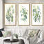 «Green White Minimalisme Eucalyptus Essence I», 3 pièces sur toile-2065702671-2065702672