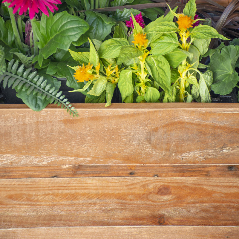 Boîte à fleurs en bois Anselmo