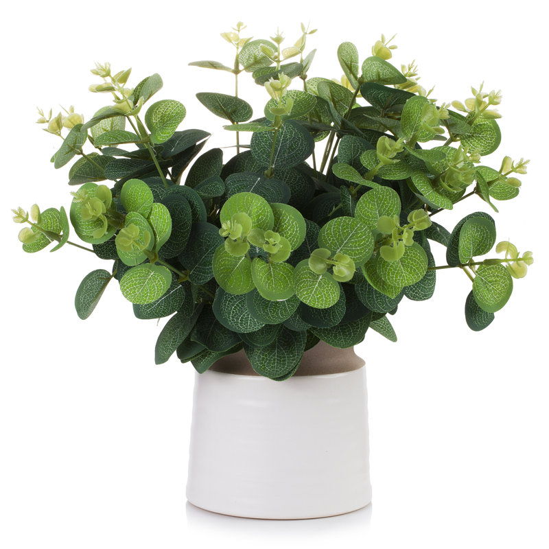 Topiaire d'eucalyptus artificiel 12 po en pot