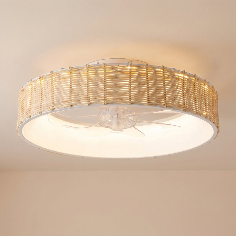 Ventilateur de plafond en cage en rotin à 7 pales 19,7 po avec lumières DEL et télécommande Hermfried, Brun