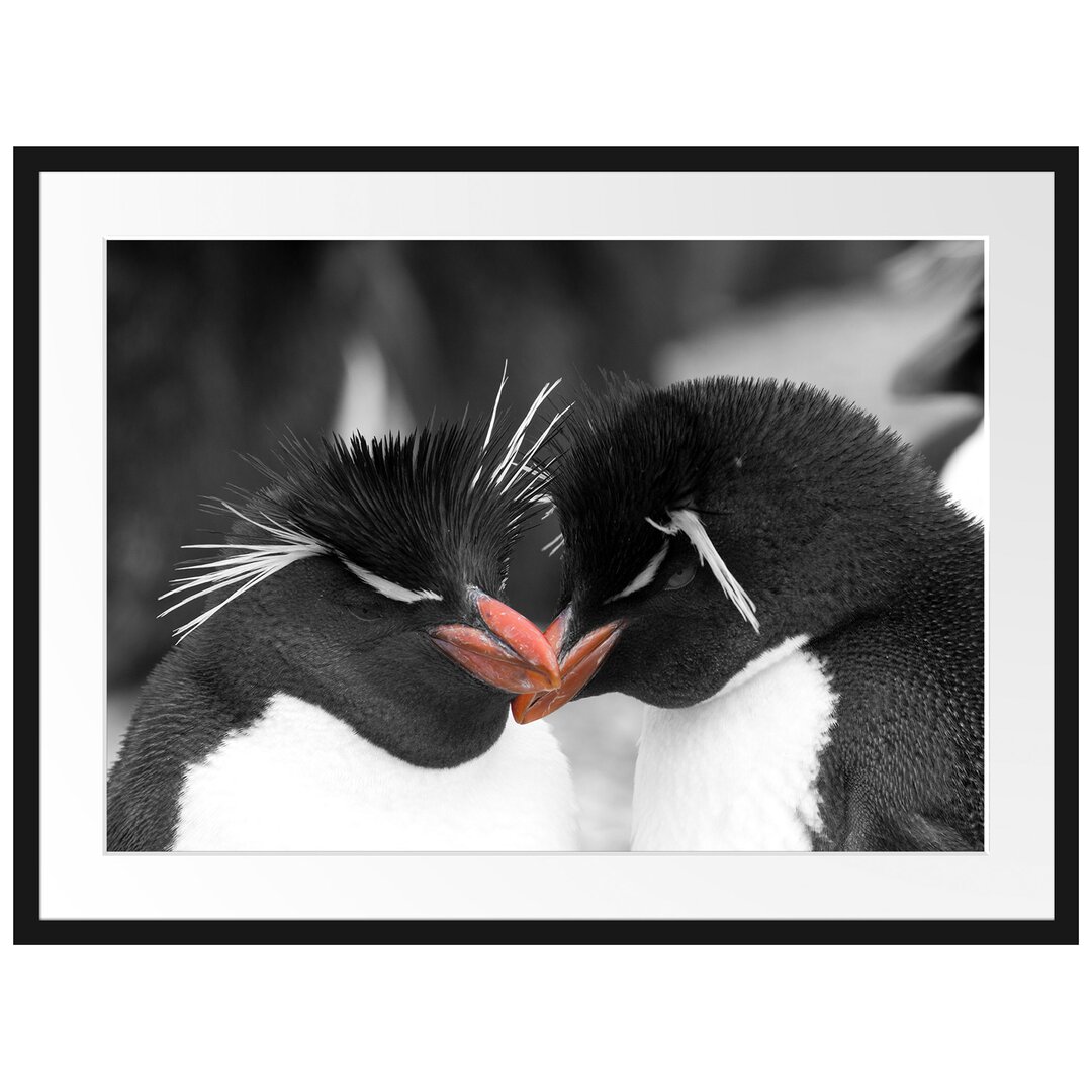 Gerahmtes Poster Pinguine kuscheln