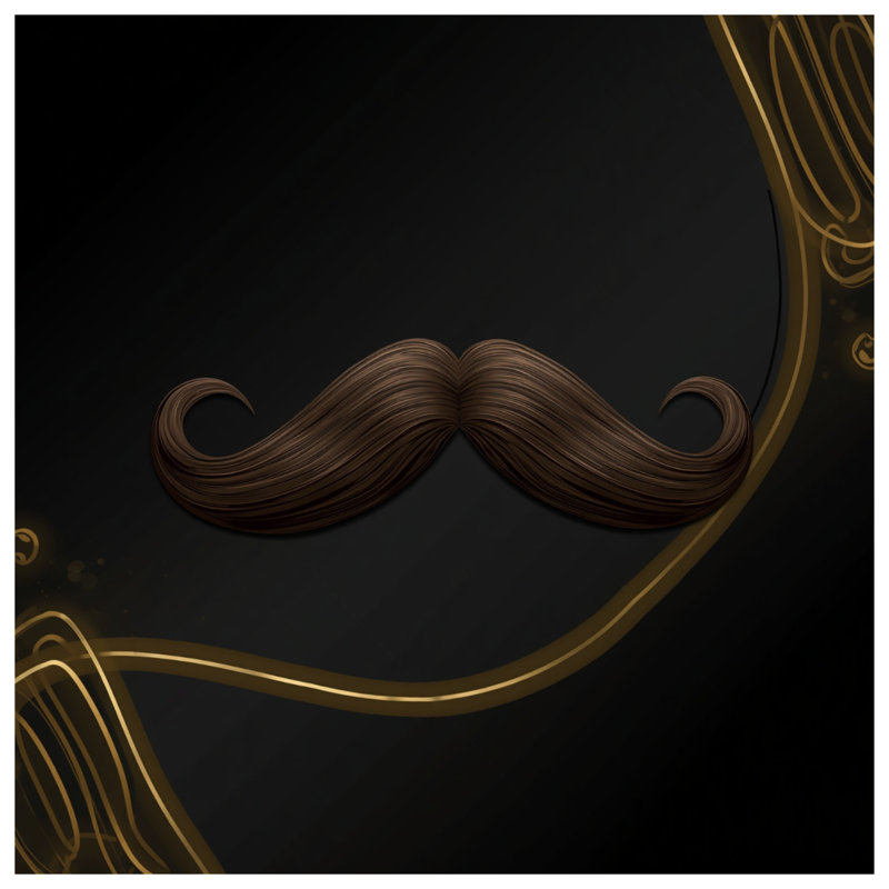 Toile tendue brune avec toile moustache enroulée en plusieurs tailles, 24 po x 36 po