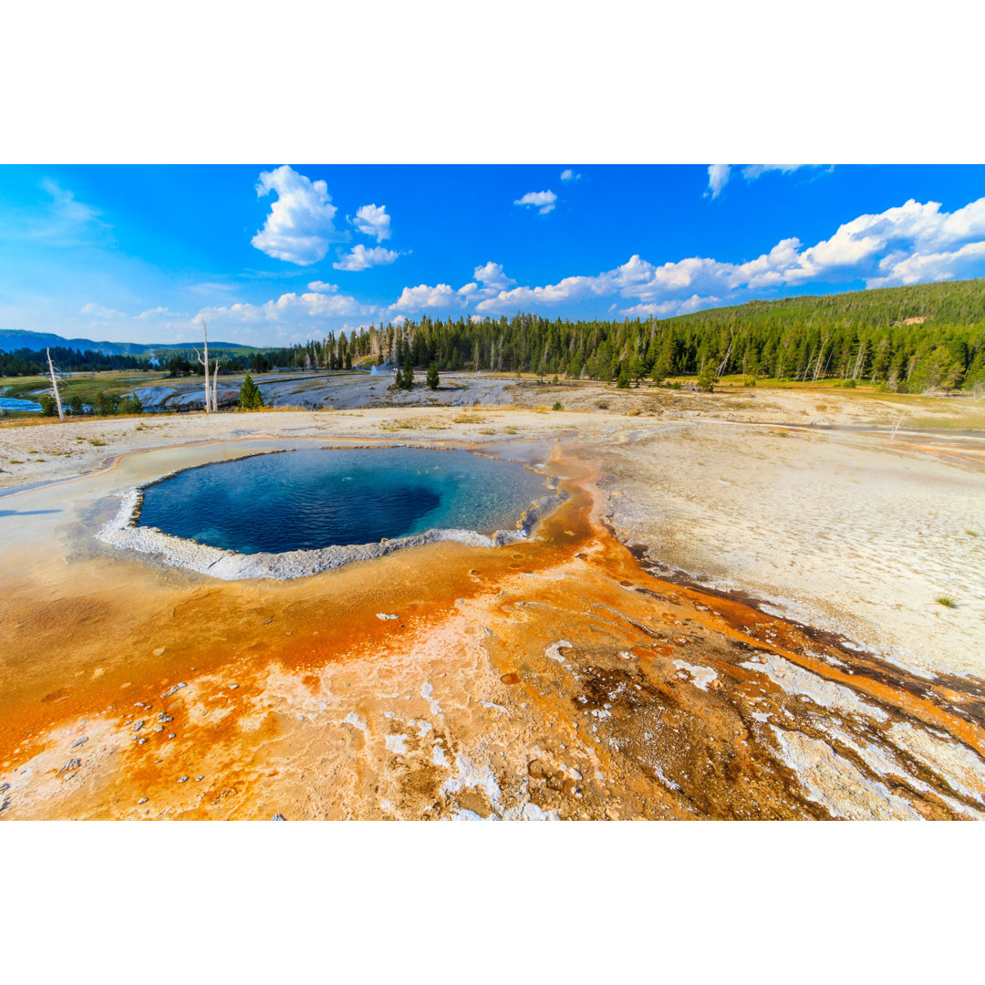 Yellowstone National Park