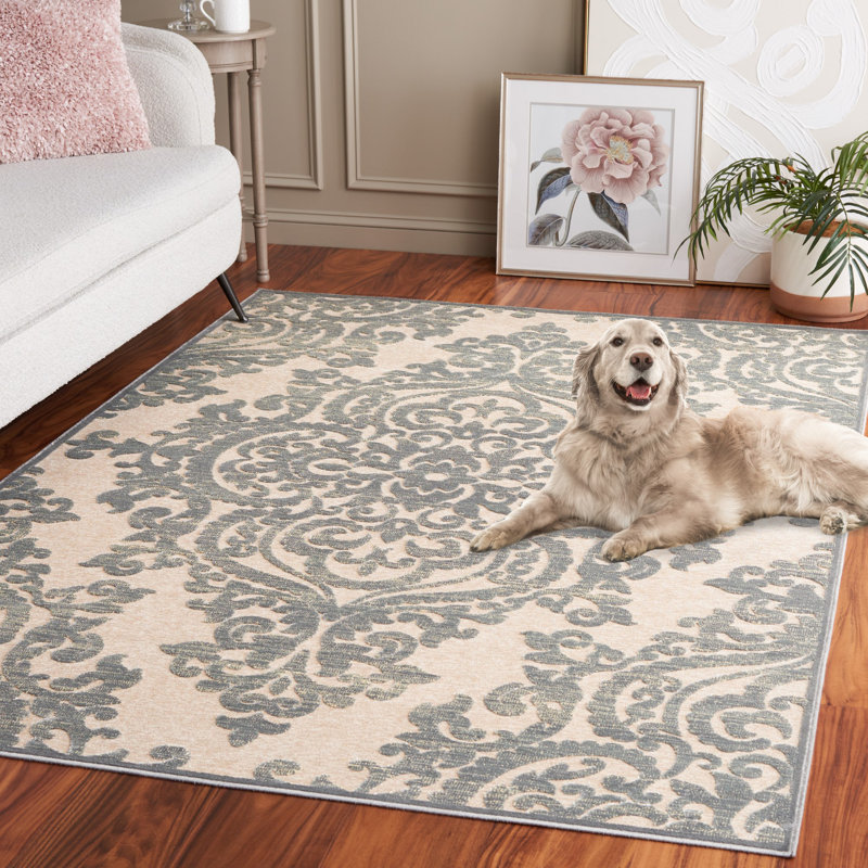Tapis oriental Hipple Paradise Performance, Rectangle 5 pi 3 po x 7 pi 6 po