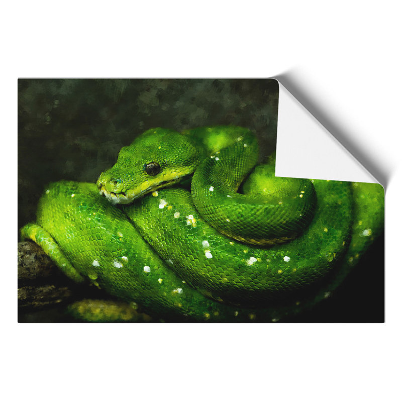 Green Python Snake - No Frame Print, 21cm H x 30cm W x 0.1cm D