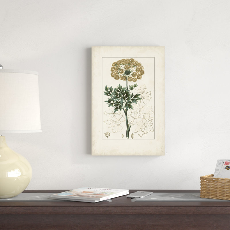 Antique Turpin Botanical VI, H 18 po x l 12 po