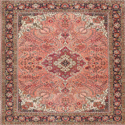 Oriental Indoor Rug