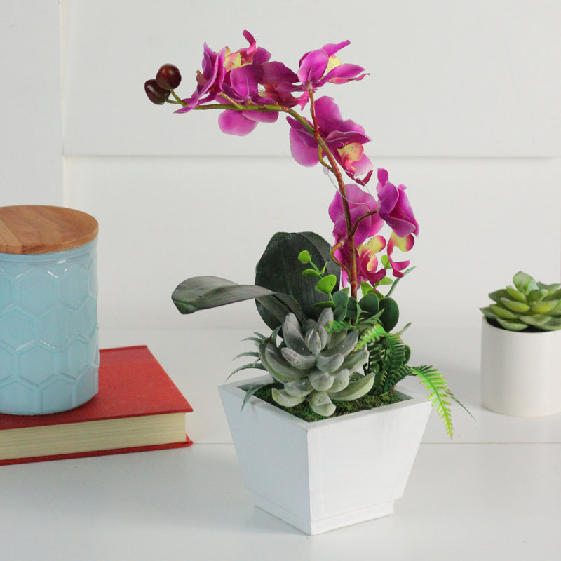 Orchidée artificielle rose en pot 13 po avec plantes succulentes