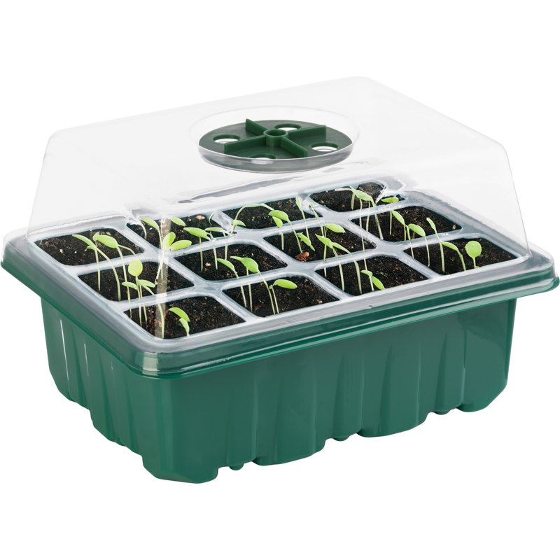 Ensemble de 10 pots à graines Sergie - Plateaux à plantes avec dômes à humidité réglable - Trousse de démarrage de graines avec 120 cellules au total - Fournitures de jardinage