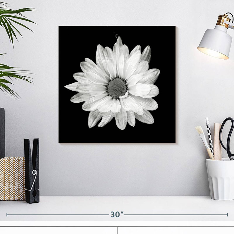 Harnek BW White Daisy, 16" H x 16" W