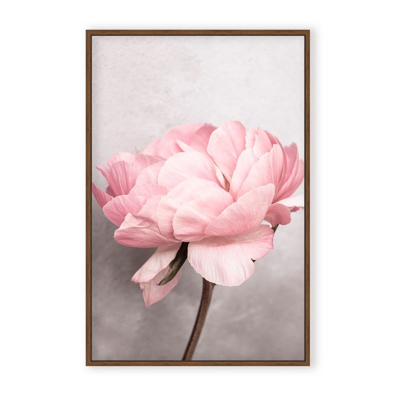 Nature Inspired Peony by  - Picture Frame Photograph on Paper, 48" H x 32" W x 1.125" D, Black, Framed Matted Print