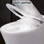 Compact Dual Flush Toilet With Self-Cleaning Wand, Foot Sensor Flush, White Night , Knob Control, Cold Water Wash, Strong Soft Close, , Immaculate Smart 1/1.28 ,
