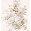 Flora Sybilla Bouquet Fabric-41401107
