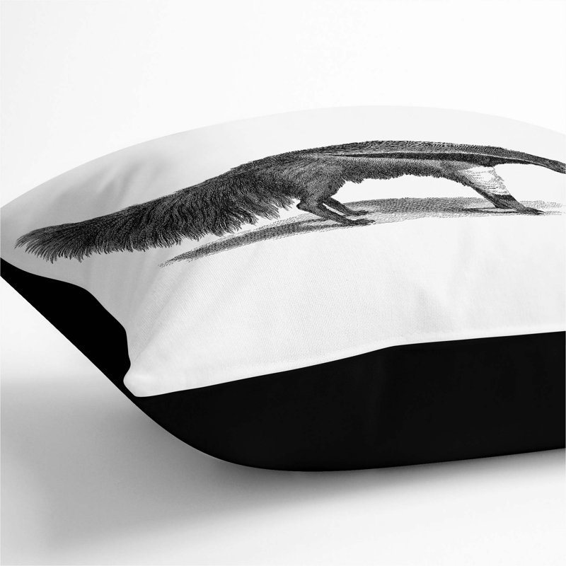 Square Throw Cushion, 55cm H x 55cm W x 20cm D, Black