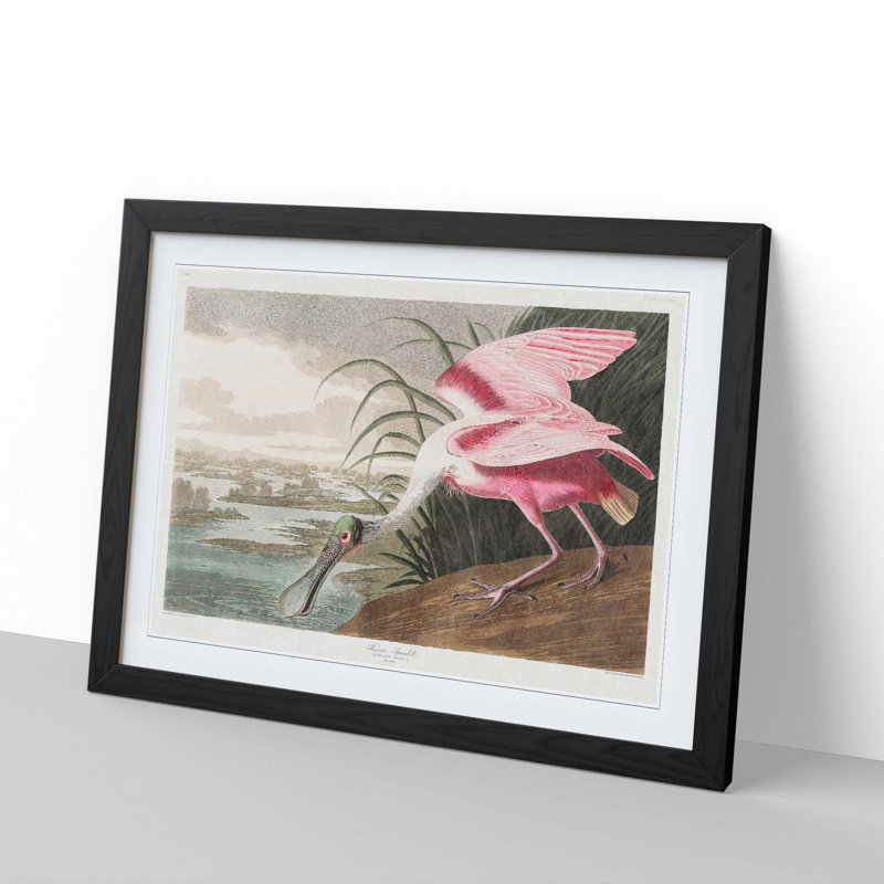 Roseate Spoonbill by John James Audubon - Picture Frame Graphic Art Print, Black, 40cm H x 60cm W x 2cm D