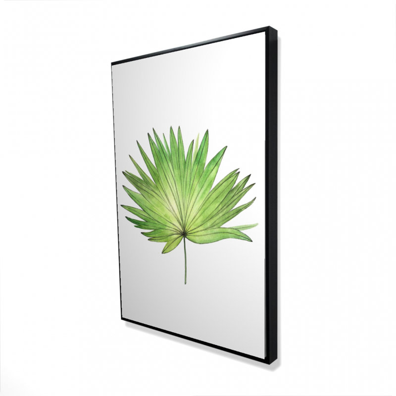 " Petticoat Palm ", 36" H x 24" W