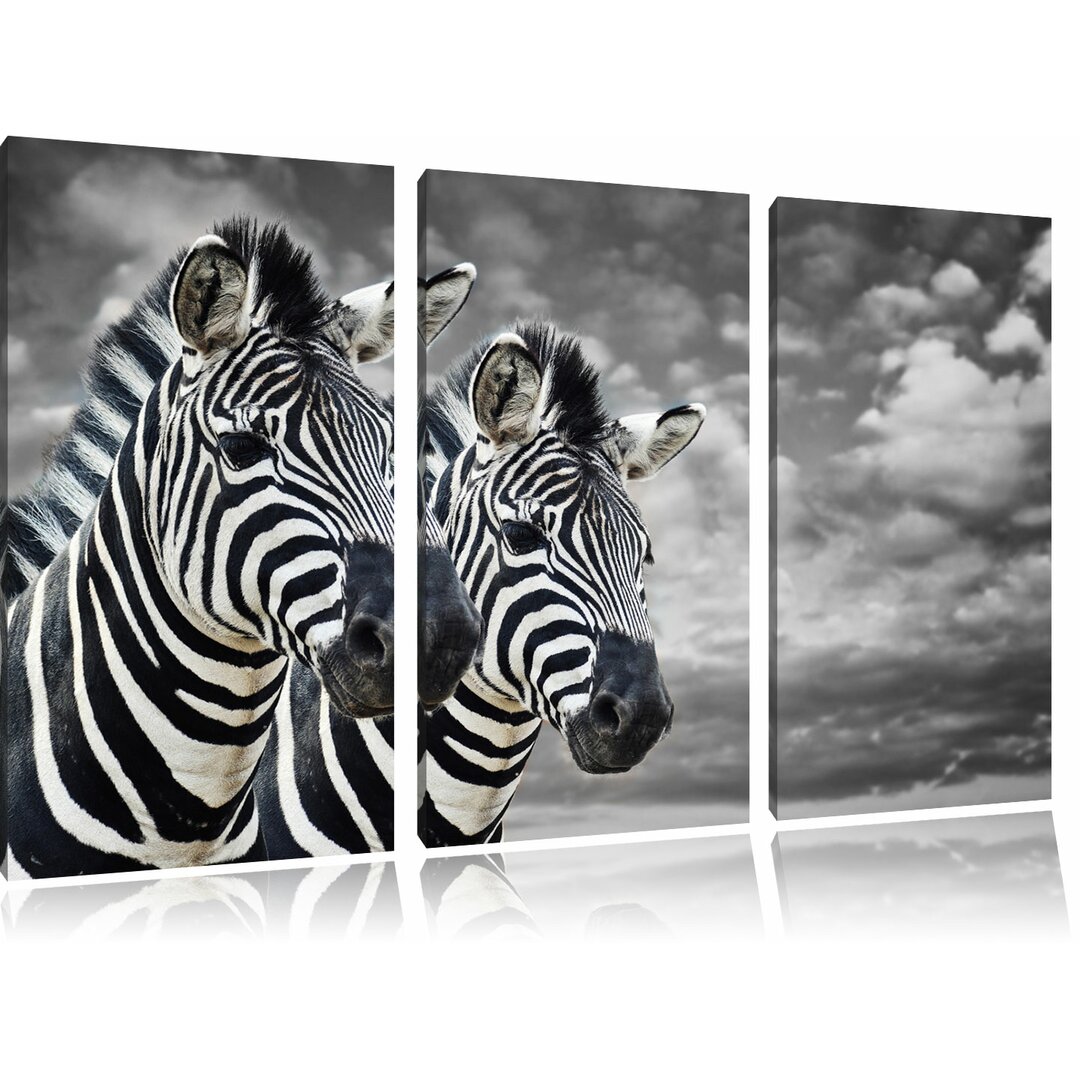 3-tlg. Leinwandbilder-Set „Zwei Zebras", Fotodruck