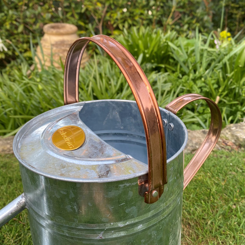 Metal Watering Can