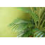 110cm Faux Palm Tree in Pot Liner