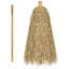 Beach Parasol