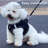 Dog Harness Adjustable Reflective Polyester Black-118161262