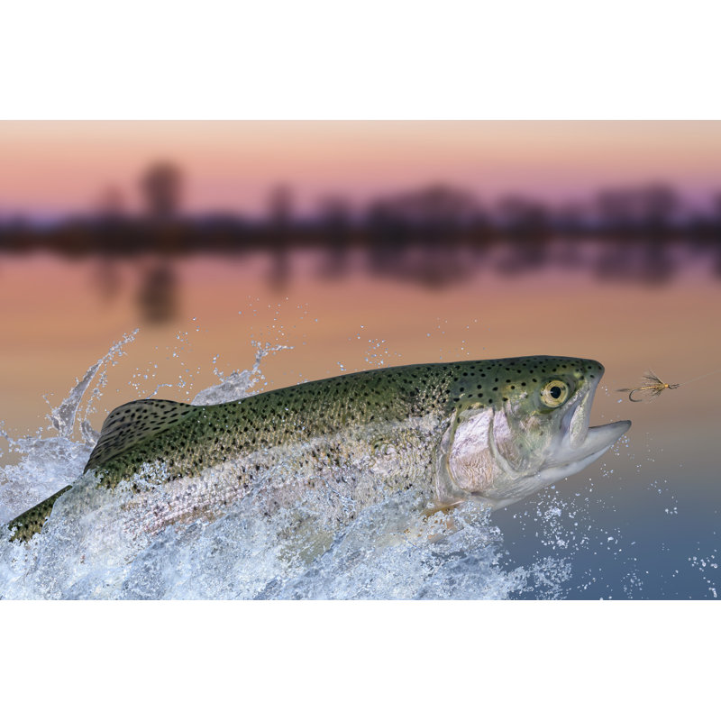 Grandy Fish - Wrapped Canvas Print, 51cm H x 76cm W x 3.8cm D