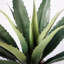 Agave artificielle de 63,5 po Roemer