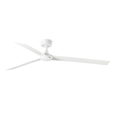 Cruiser Fan