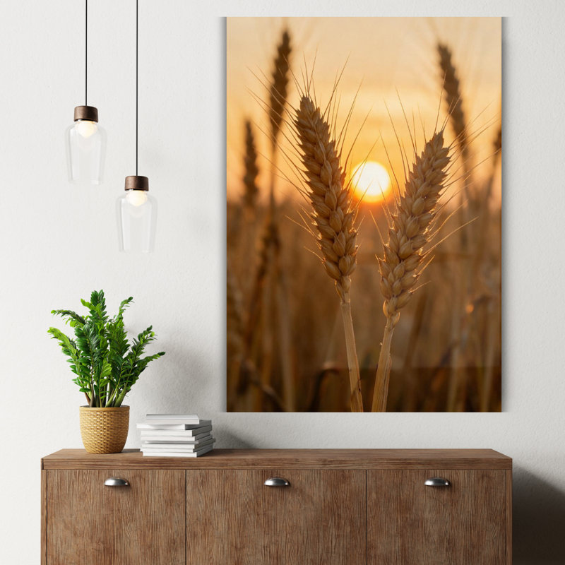 Art mural en verre trempé Golden Wheat Field Sunset, H 30 po x l 20 po