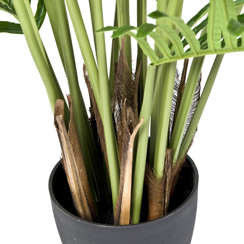Artificial Areca Phoenix Palm Tree in Black Pot, 45cm H x 150cm W x 18cm D