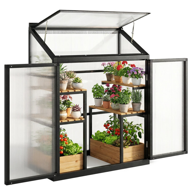 Greenhouse
