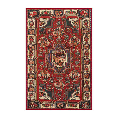 Oriental Indoor Rug