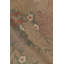 Antique 20Th Century Hooked Rug In Taupe With Garden Wreath Design - Rug & Kilim