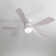 52" 5 - Blade Modern Ceiling Fan With Led Lights And Remote Control