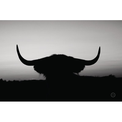 Bull Set BW Crop 1 Piece Wrapped Canvas Wall Art