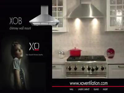 36" Stainless Steel Convertible Wall Mounted Range Hood with Charcoal Filter