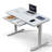 Keb Home Office Height Adjustable Standing Desk with Drawer-785596860