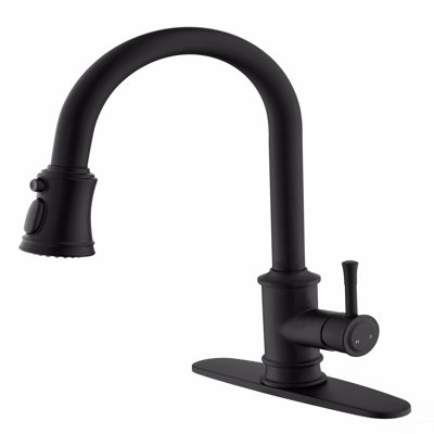 Kitchen Faucet With Pull Out Spraye