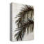" Palm II "-1723420910