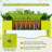 Seppi Metal Raised Garden Bed-204553010