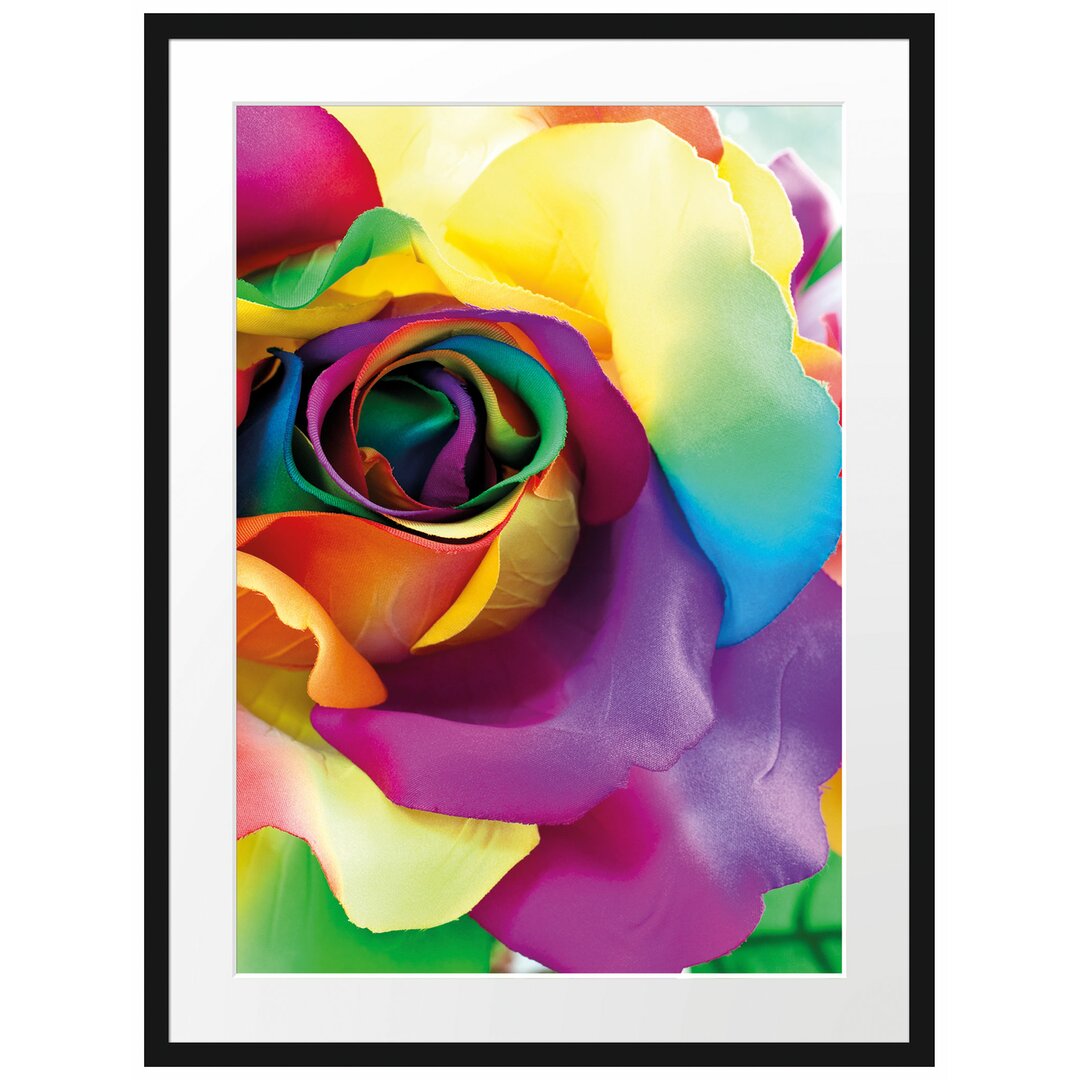 Gerahmtes Poster Bunte Rosen