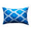 Eala Silk Lumbar Pillow Cover & Insert